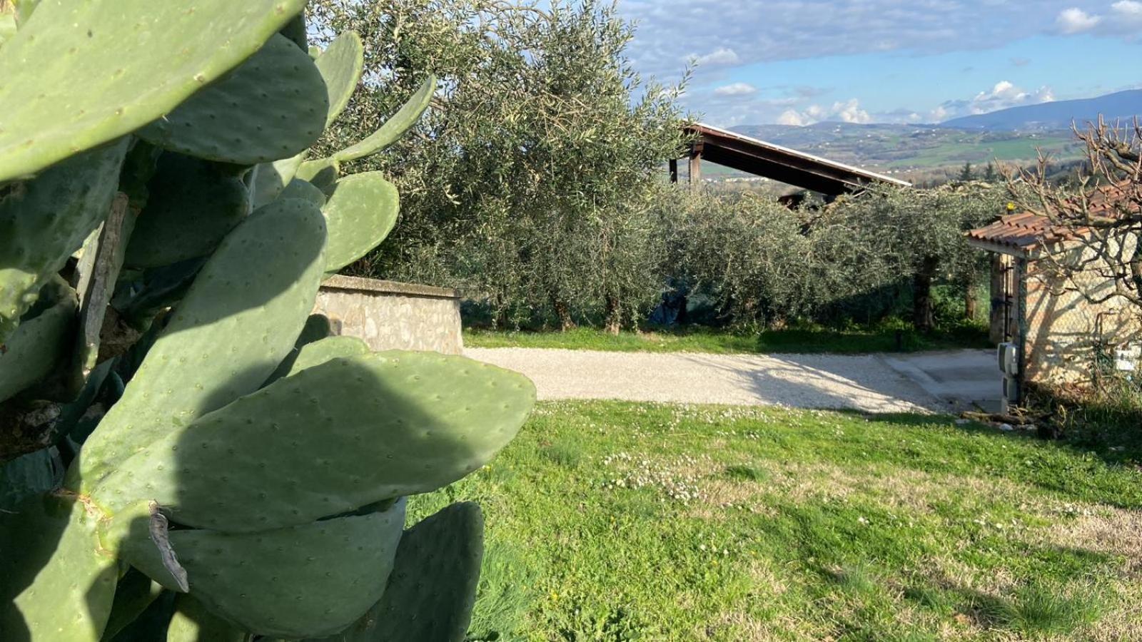Casa Civico22 Villa Fratta Todina Bagian luar foto